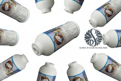 2" x 6" Inline GAC Carbon Filter with 3/8" Quick Connect